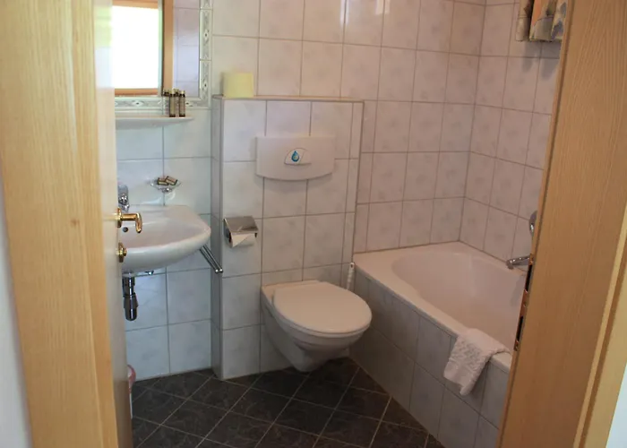 招待所 Sattelkopf 3*